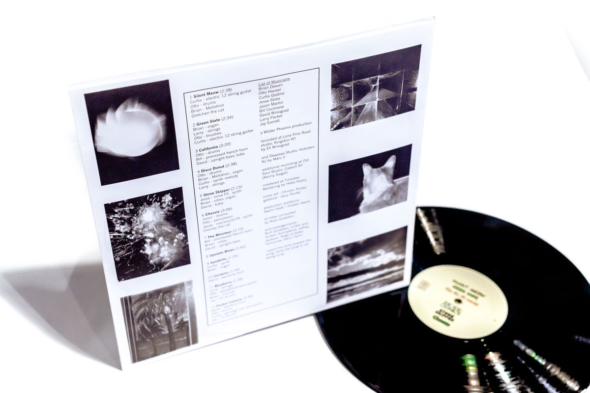 Ross Goldstein - Inverted Jenny LP