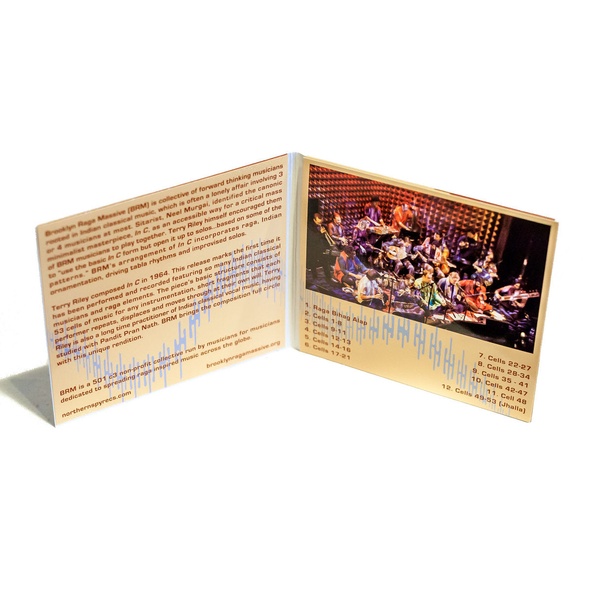 Brooklyn Raga Massive - Terry Riley In C CD