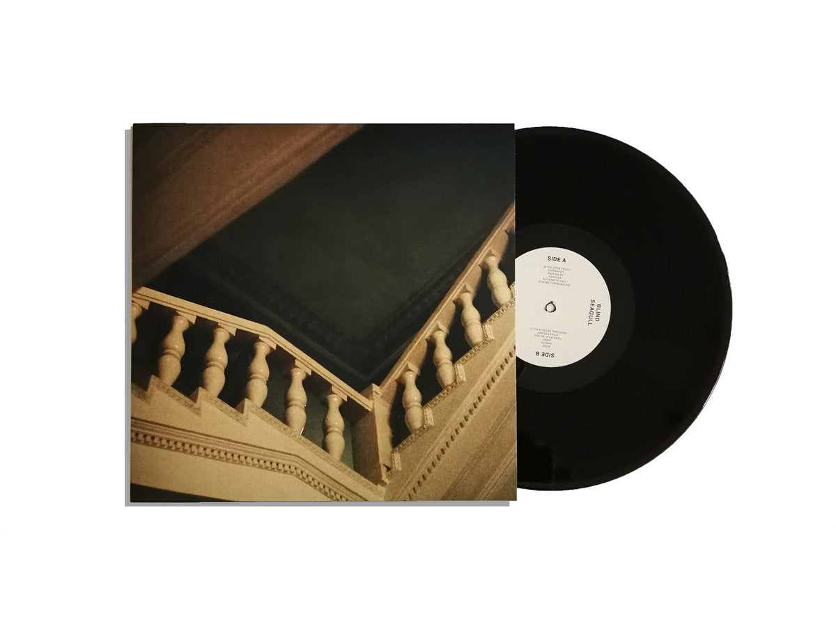 Blind Seagull - Personal Decay LP