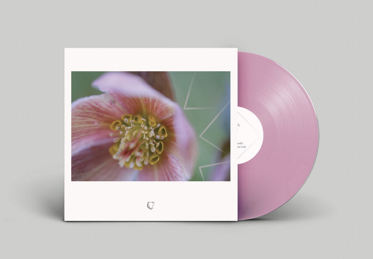 Tony Rolando - Absent From The Void LP