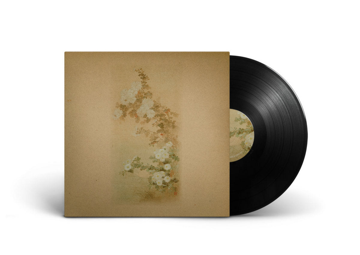 Ezra Feinberg & John Kolodij - Ezra Feinberg & John Kolodij LP