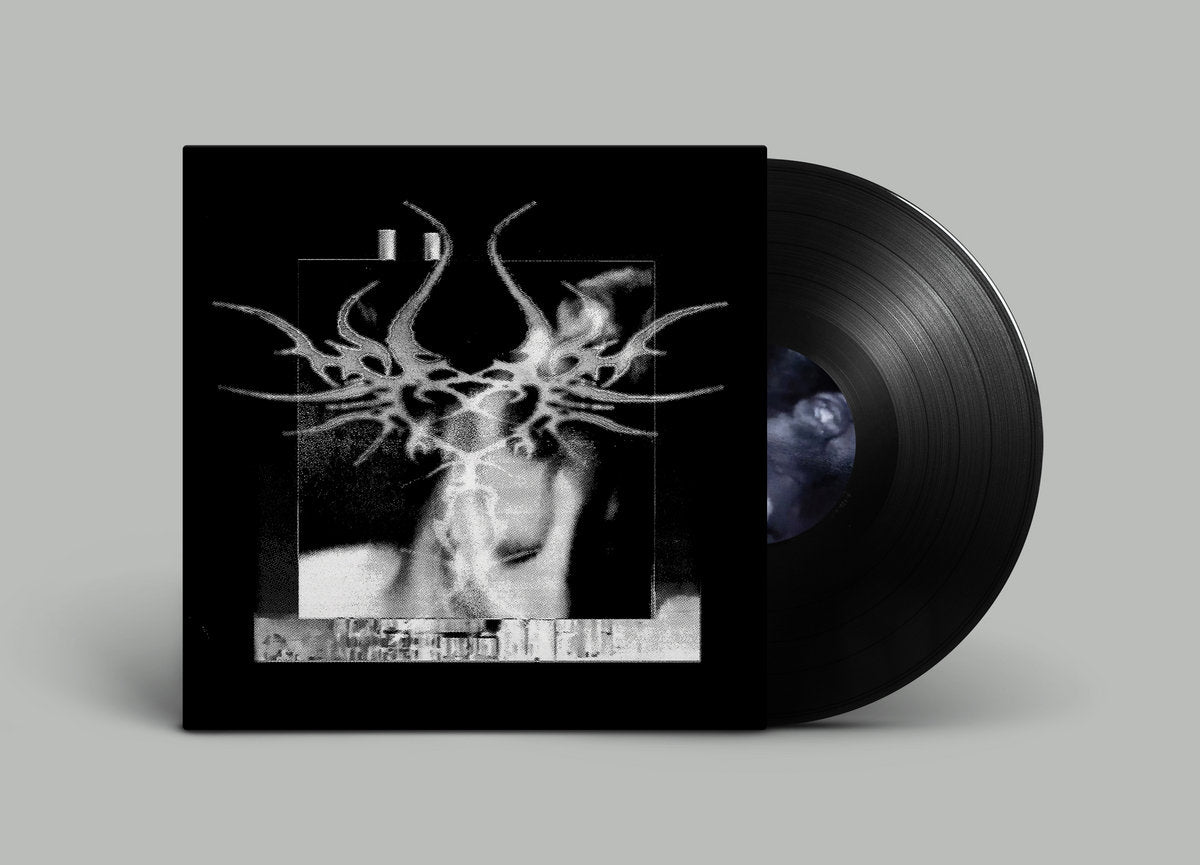 Straight Panic - Stemming The Rose LP