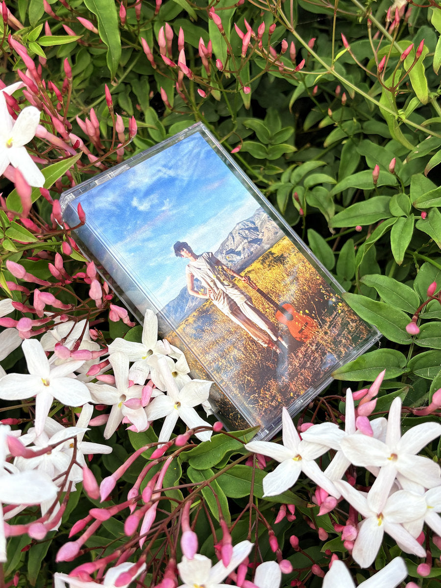 Diva & The Pearly Gates - The Haunted House CASSETTE