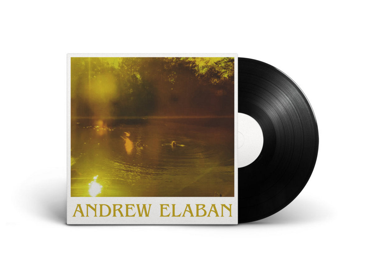 Vinyl LP - Product Photo