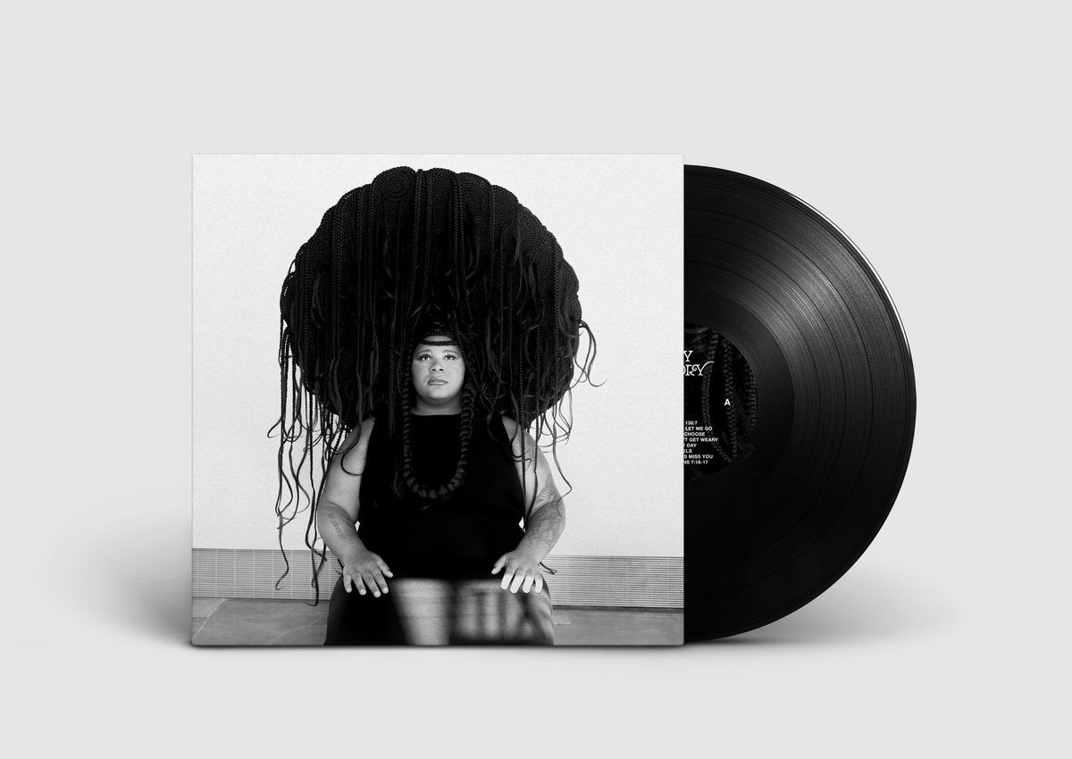 Vinyl LP - Product Photo