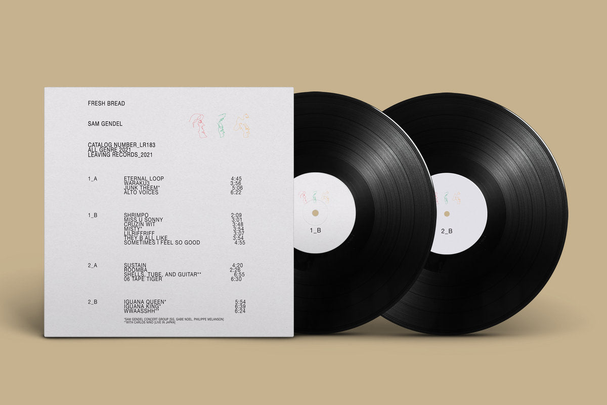 Vinyl LP - Product Photo