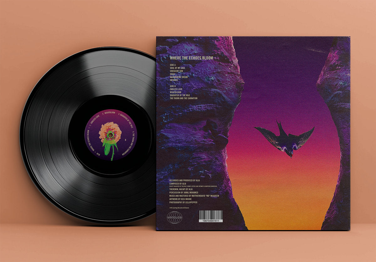 Vinyl LP - Product Photo
