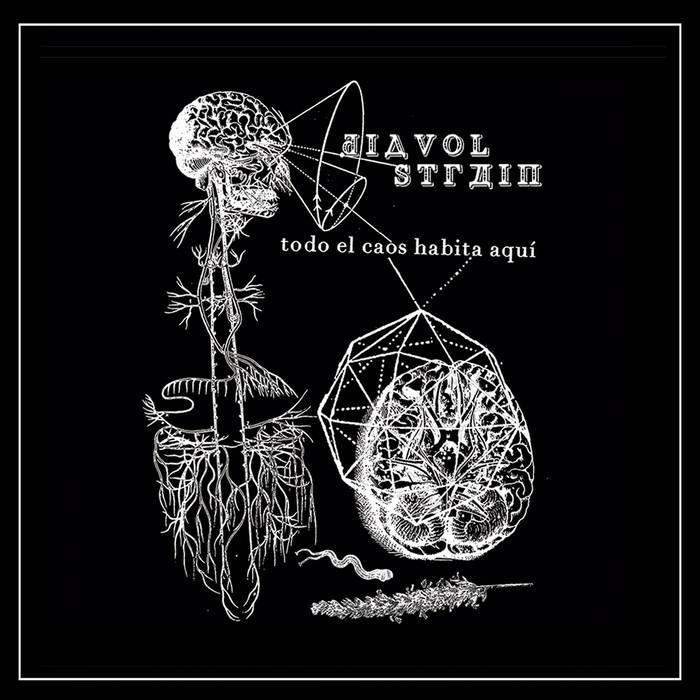 Diavol Strain - Todo el Caos habita aquí LP