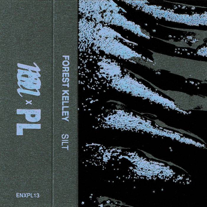 Forest Kelley - Silt CS