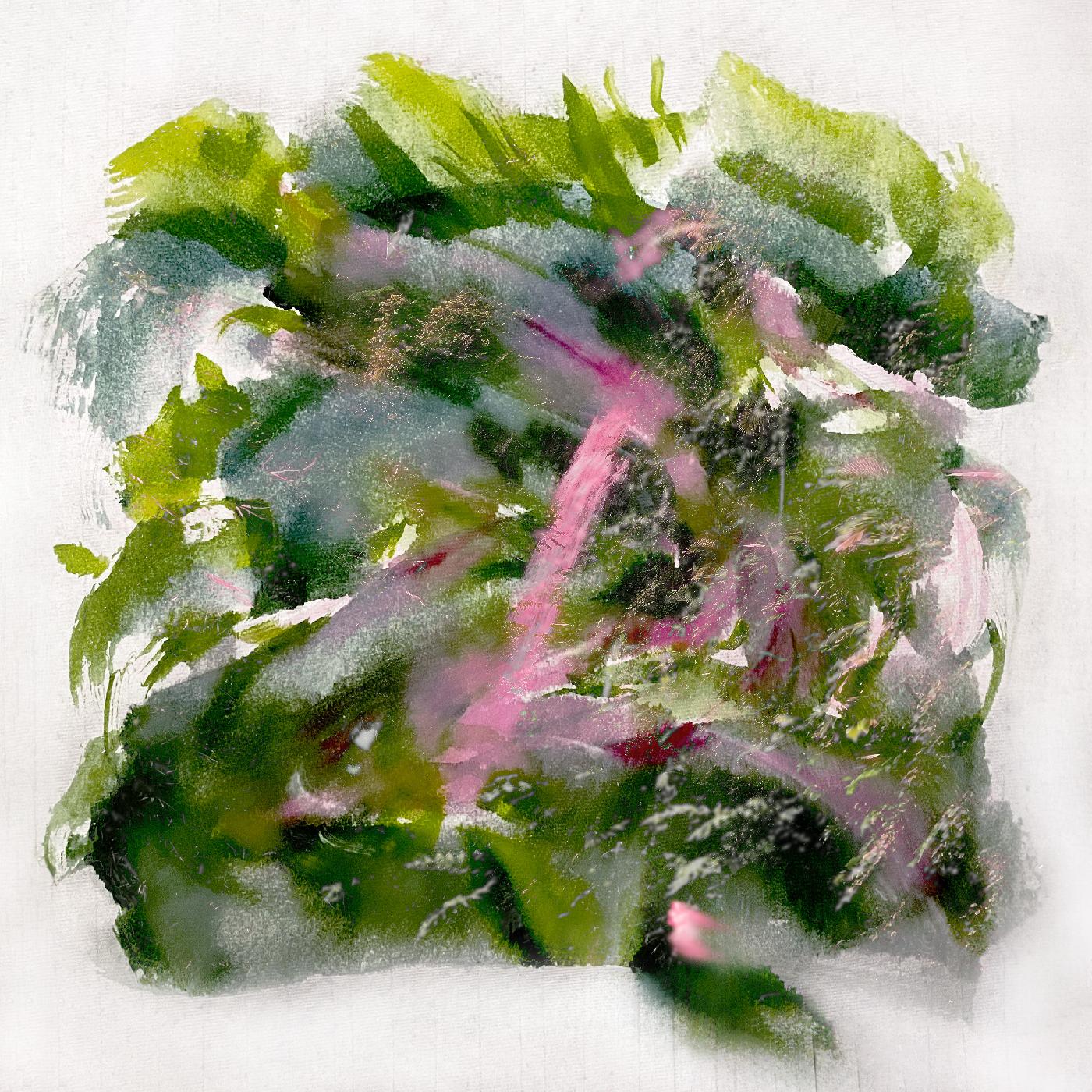 MIZU - Forest Scenes CS