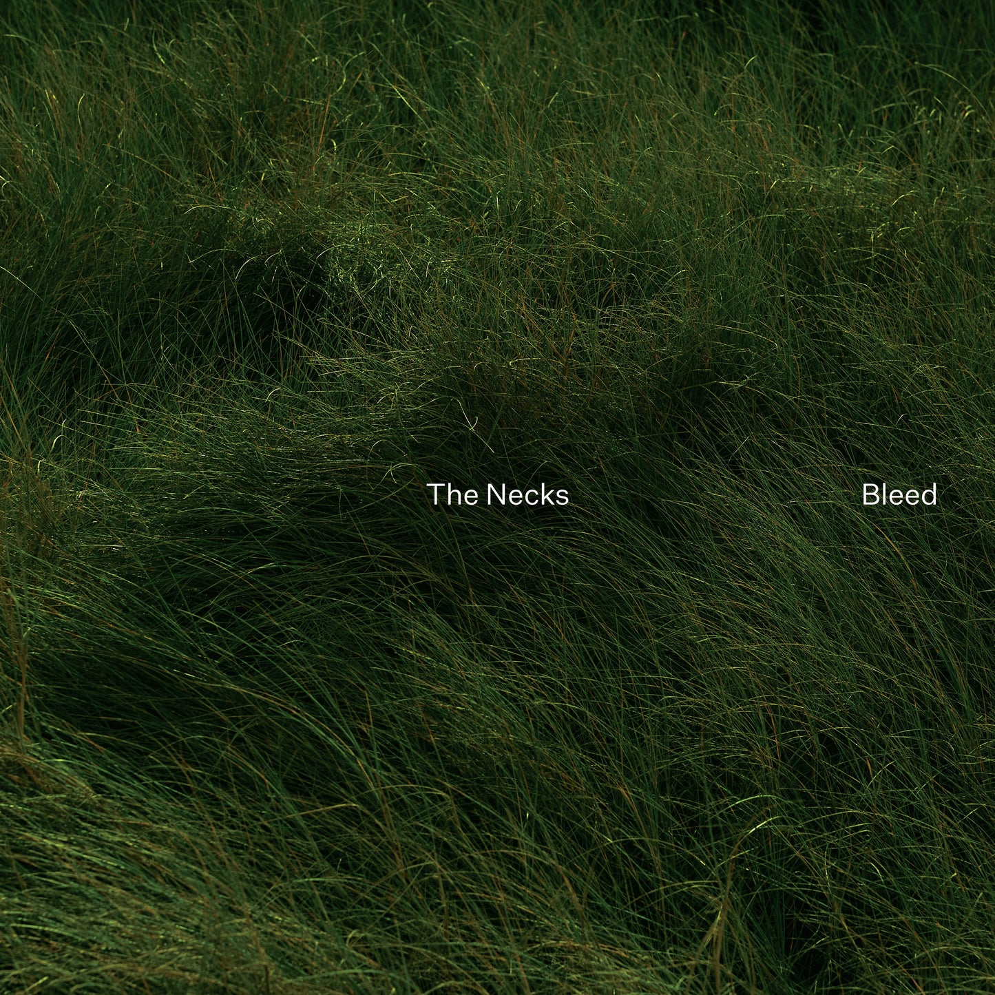 The Necks - Bleed (Black) LP