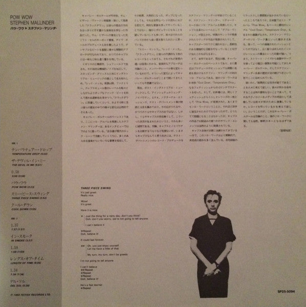 Stephen Mallinder - Pow Wow 2xLP