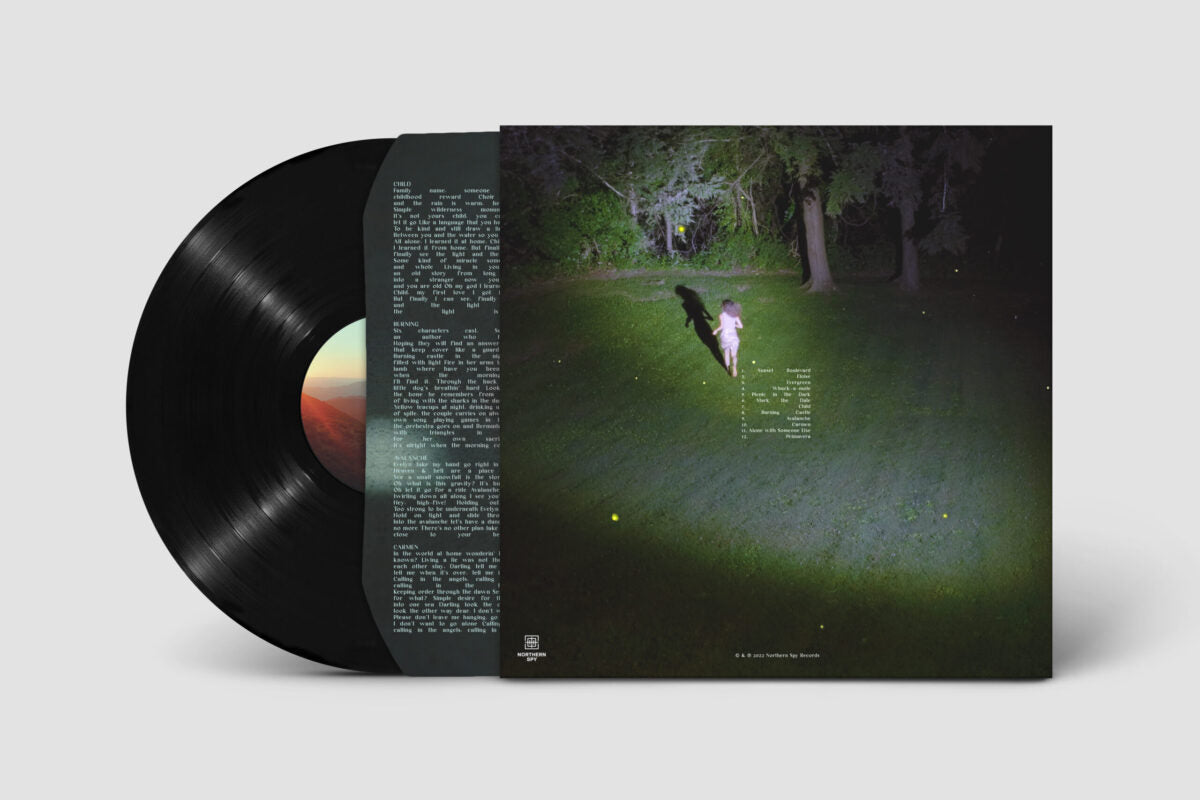 Renata Zeiguer - Picnic in the Dark LP