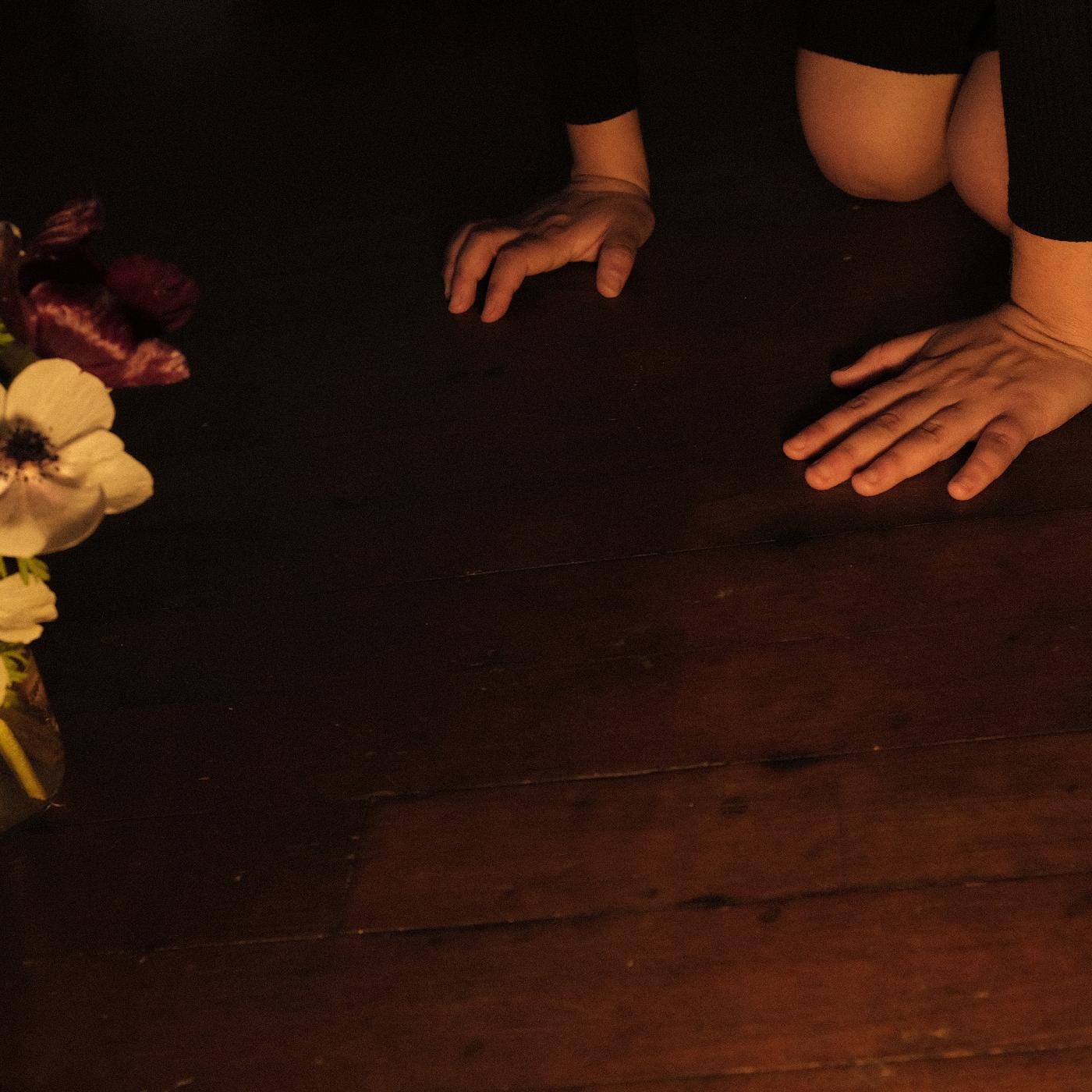 Sally Decker - In the Tender Dream CS