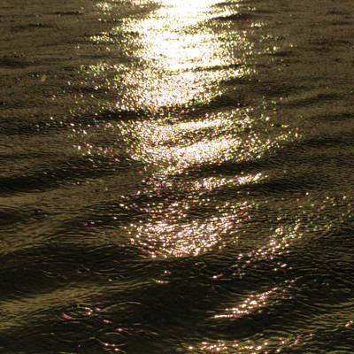 Sandy Ewen - You Win LP