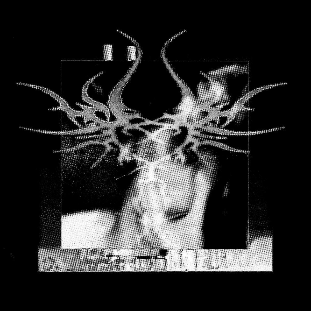 Straight Panic - Stemming The Rose LP