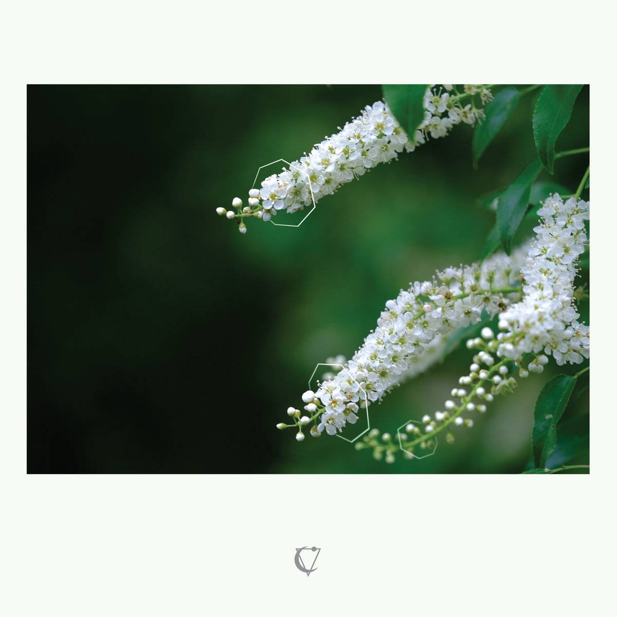 Thom Nguyen - The Summer Passed in Monotone LP
