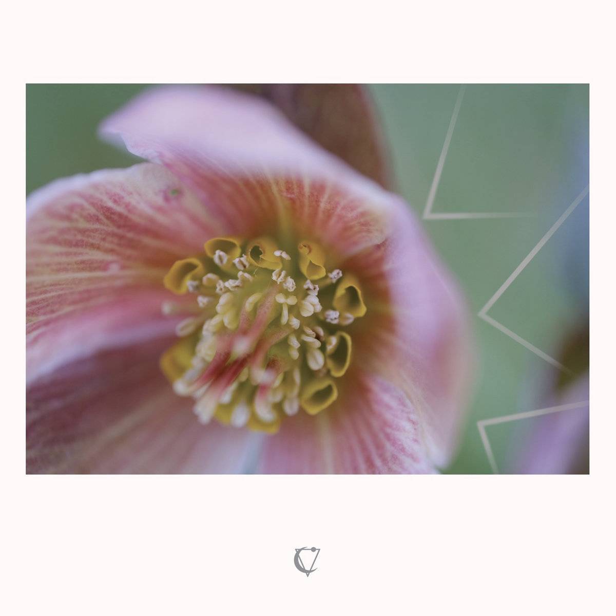 Tony Rolando - Absent From The Void LP