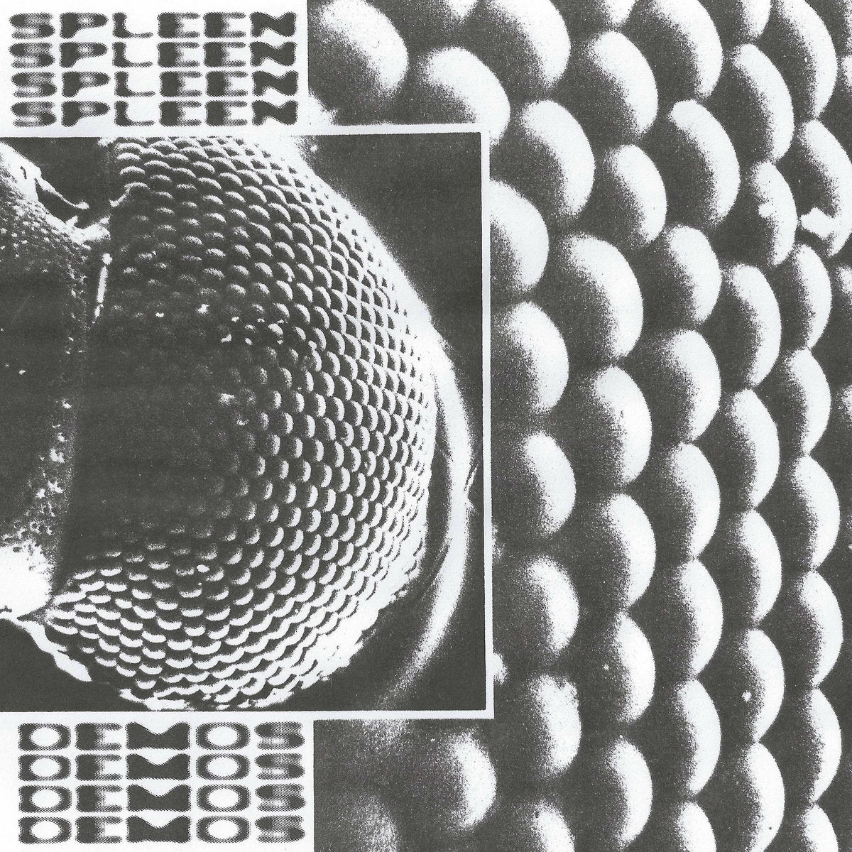 Spleen - Demos LP