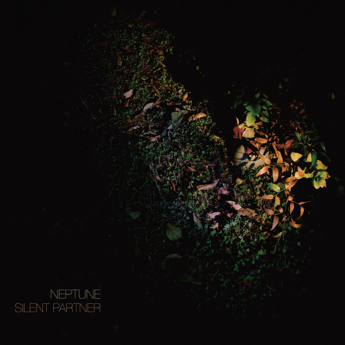 Neptune - Silent Partner CD