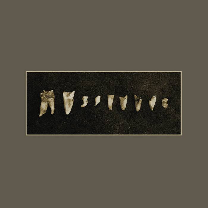 Pedestrian Deposit - Austere CD
