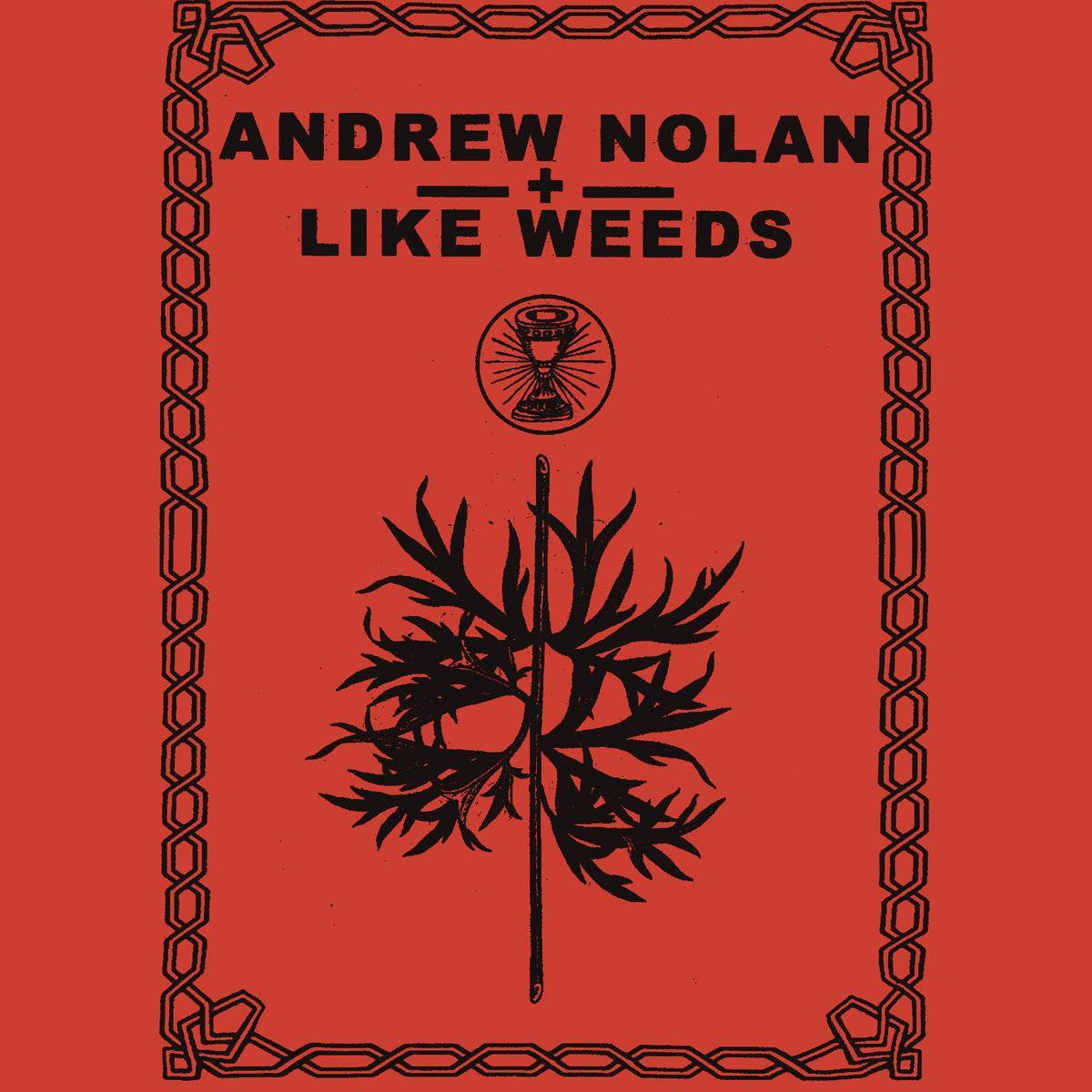 Andrew Nolan + Like Weeds - Andrew Nolan + Like Weeds CS