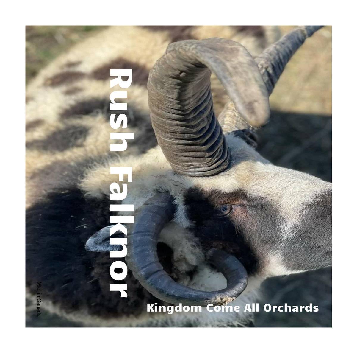 Rush Falknor - Kindom Come All Orchards CS
