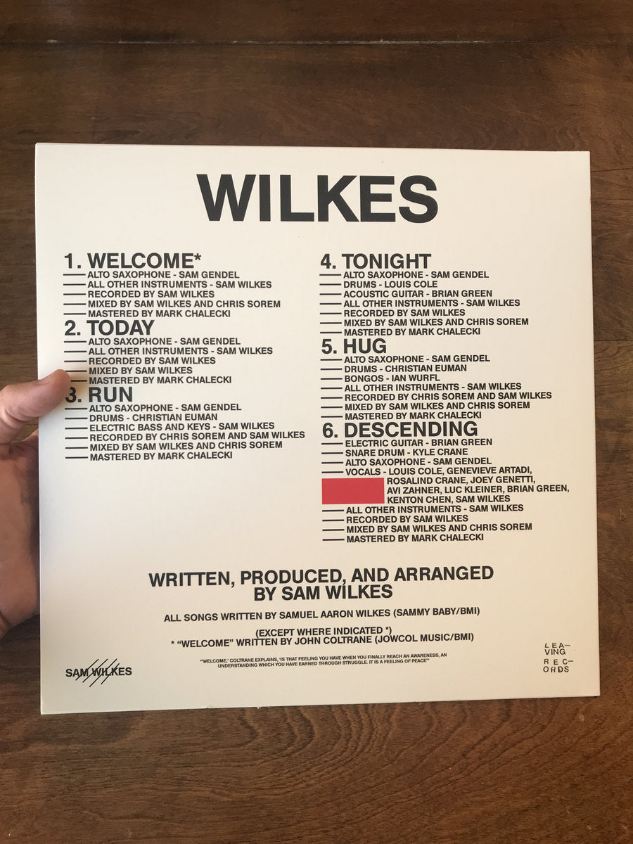 Sam Wilkes - WILKES LP