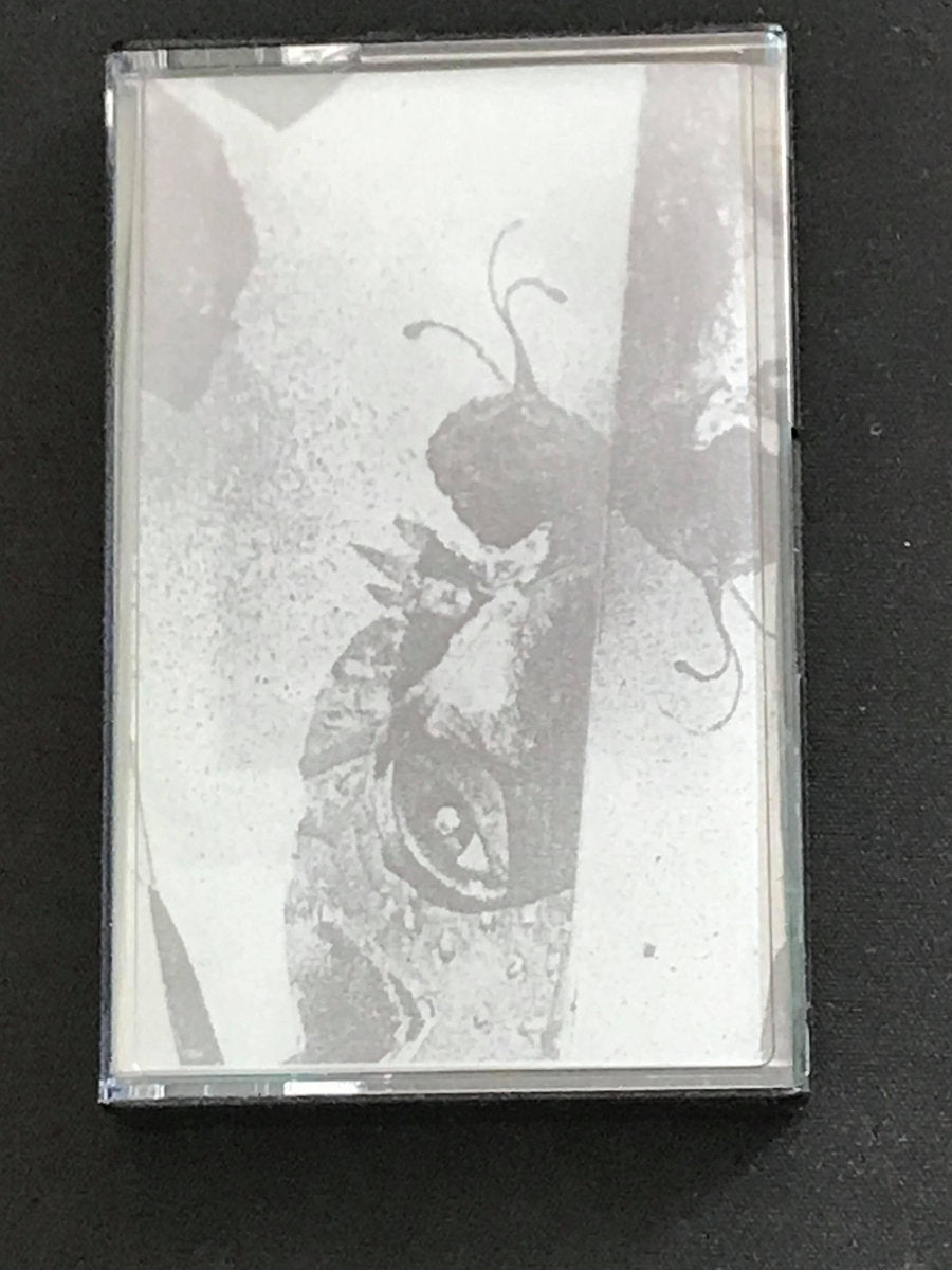 Stagnant Fluids - Stagnant Fluids CS