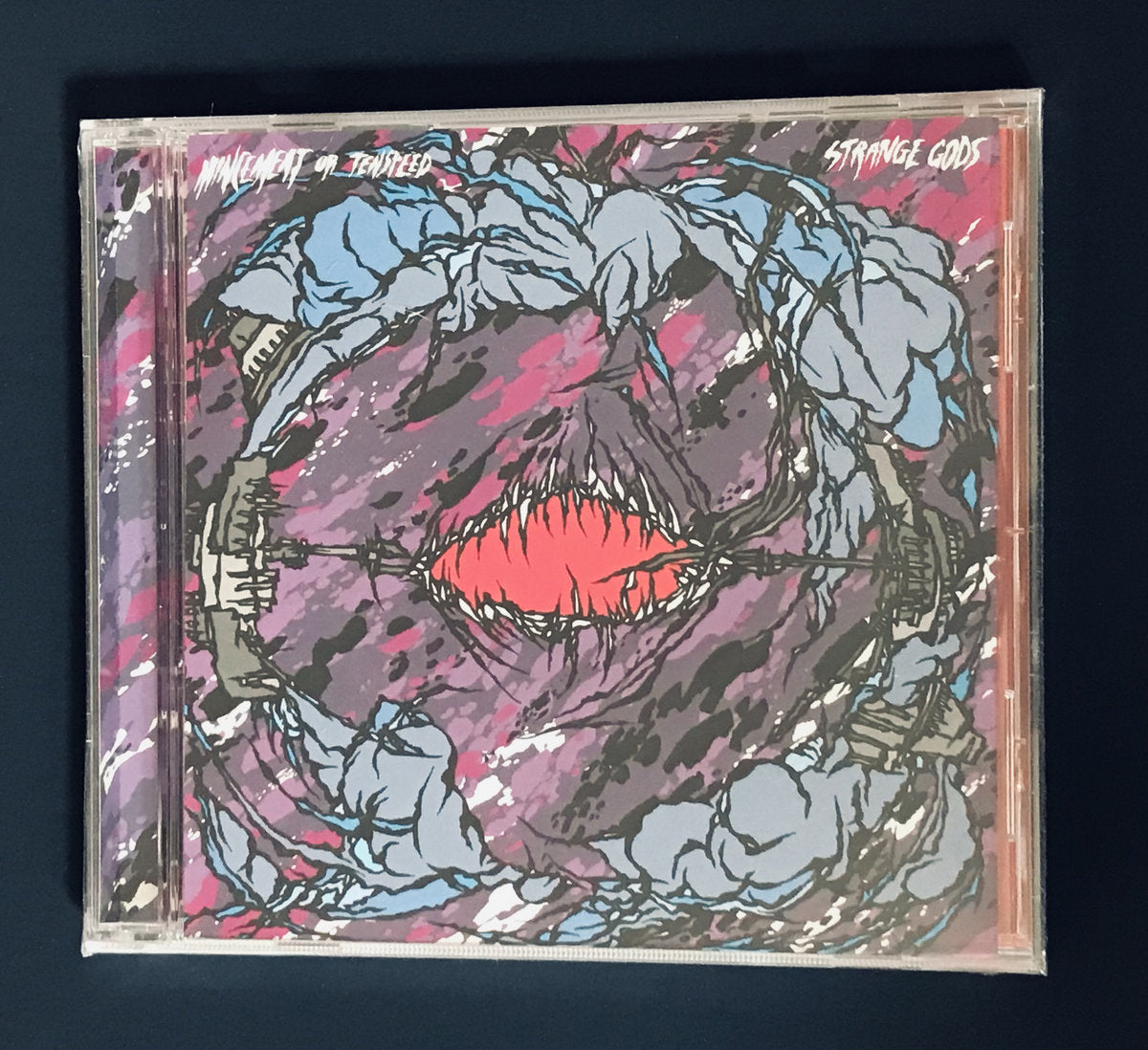 Mincemeat Or Tenspeed - Strange Gods CD