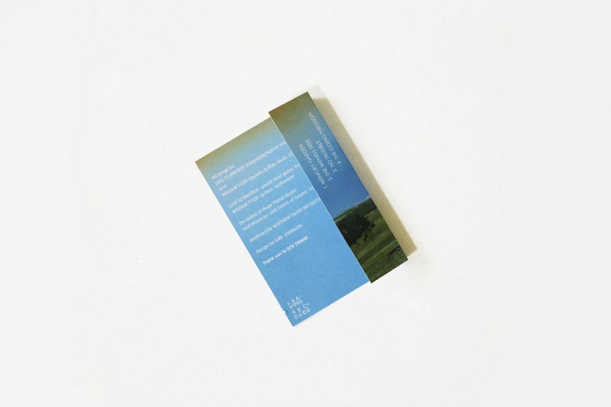 William Tyler & Luke Schneider - Understand Limited Edition Cassette