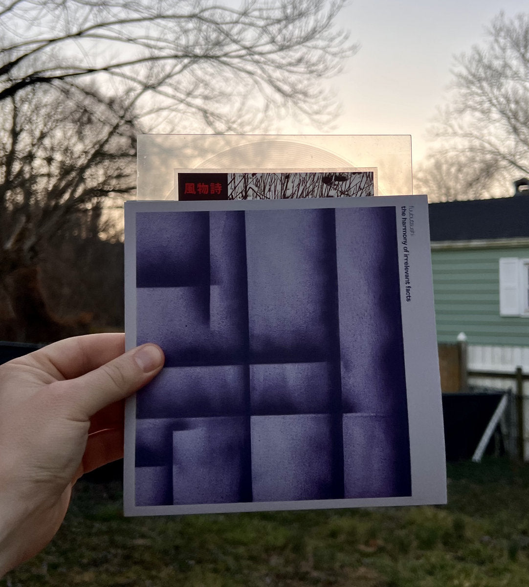 Fuubutsushi - Harmony of Irrelevant Facts (Limited Edition 7" Lathe)