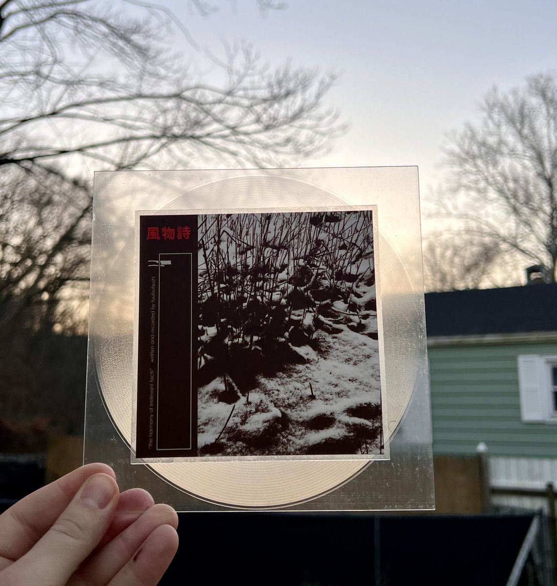 Fuubutsushi - Harmony of Irrelevant Facts (Limited Edition 7" Lathe)