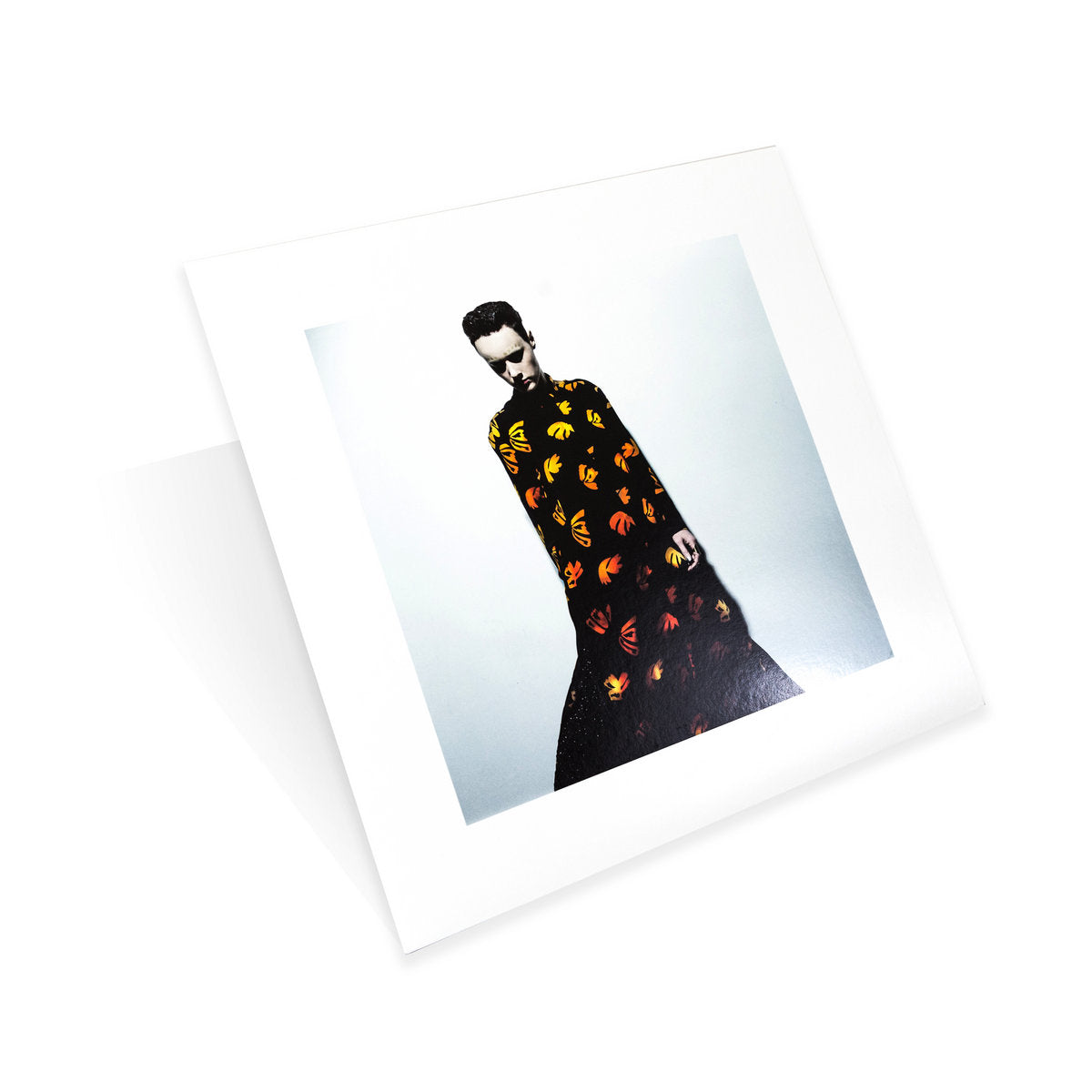 Vinyl LP - Product Photo