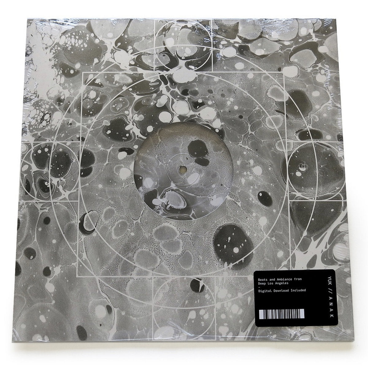 Vinyl LP - Product Photo
