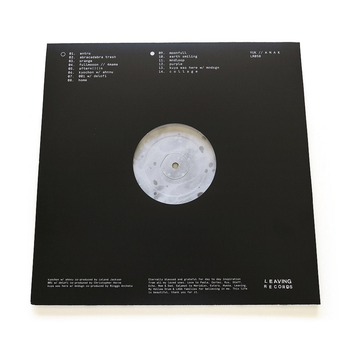 Vinyl LP - Product Photo