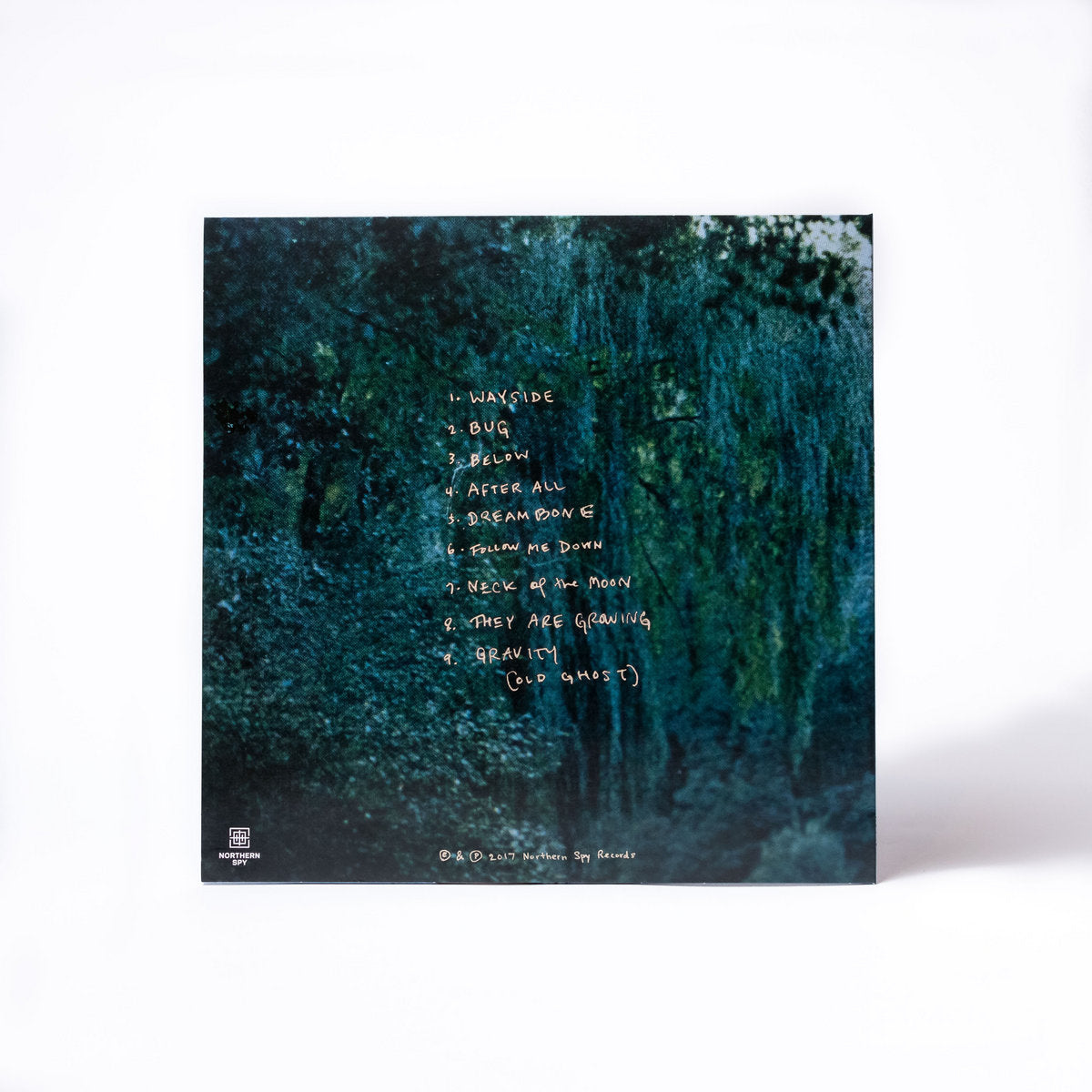 Vinyl LP - Product Photo