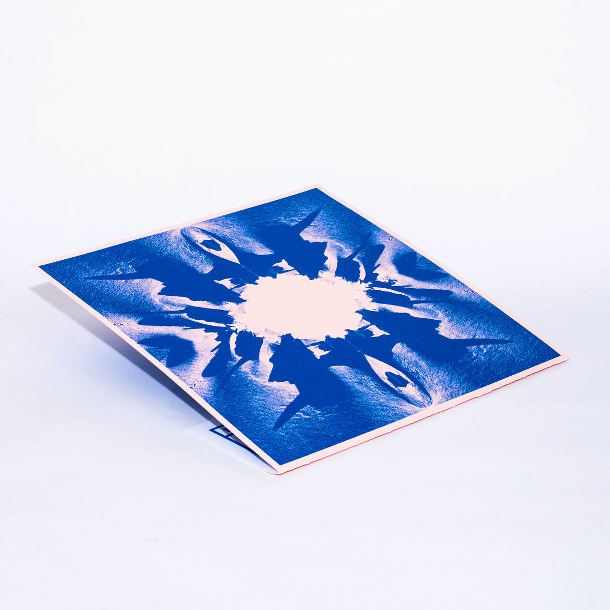 Vinyl LP - Product Photo