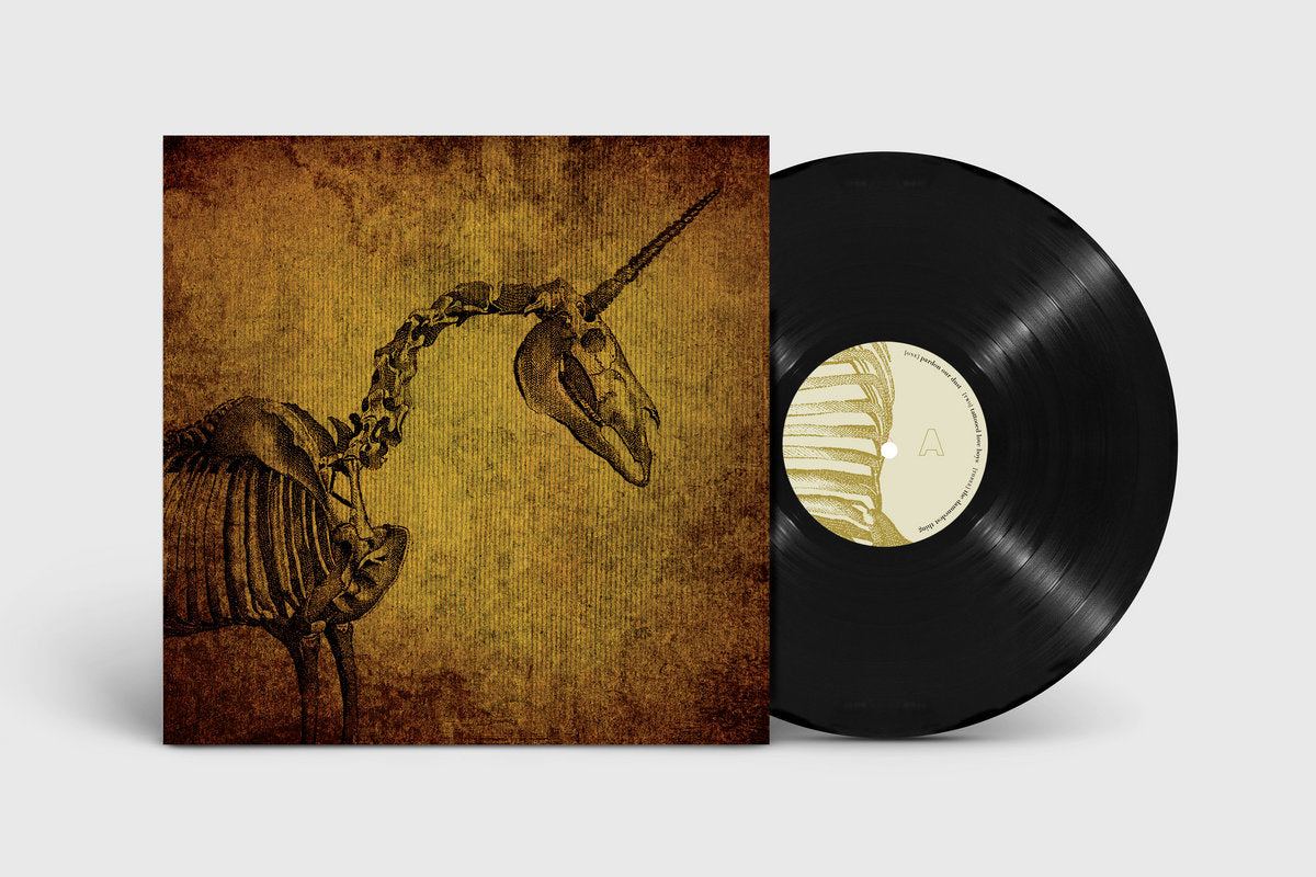 Vinyl LP - Product Photo