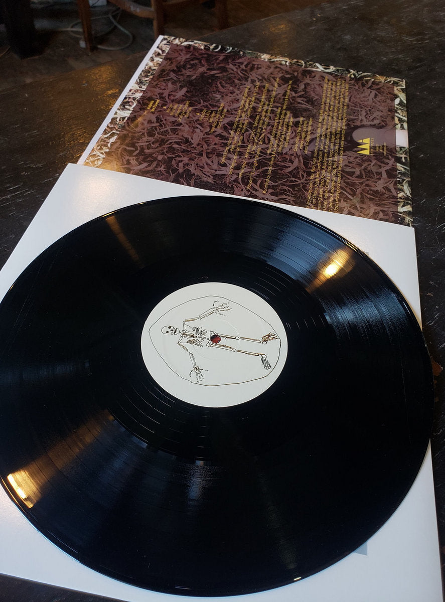 Vinyl LP - Product Photo