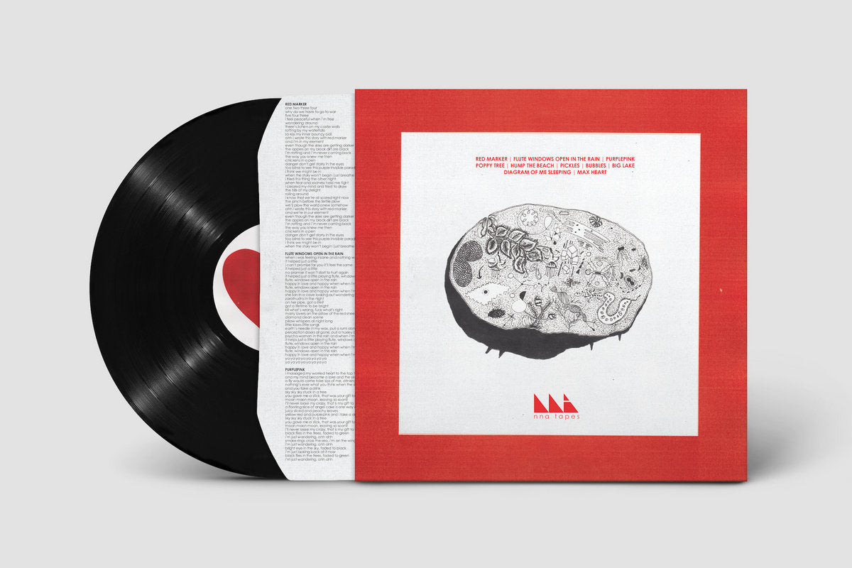 Vinyl LP - Product Photo