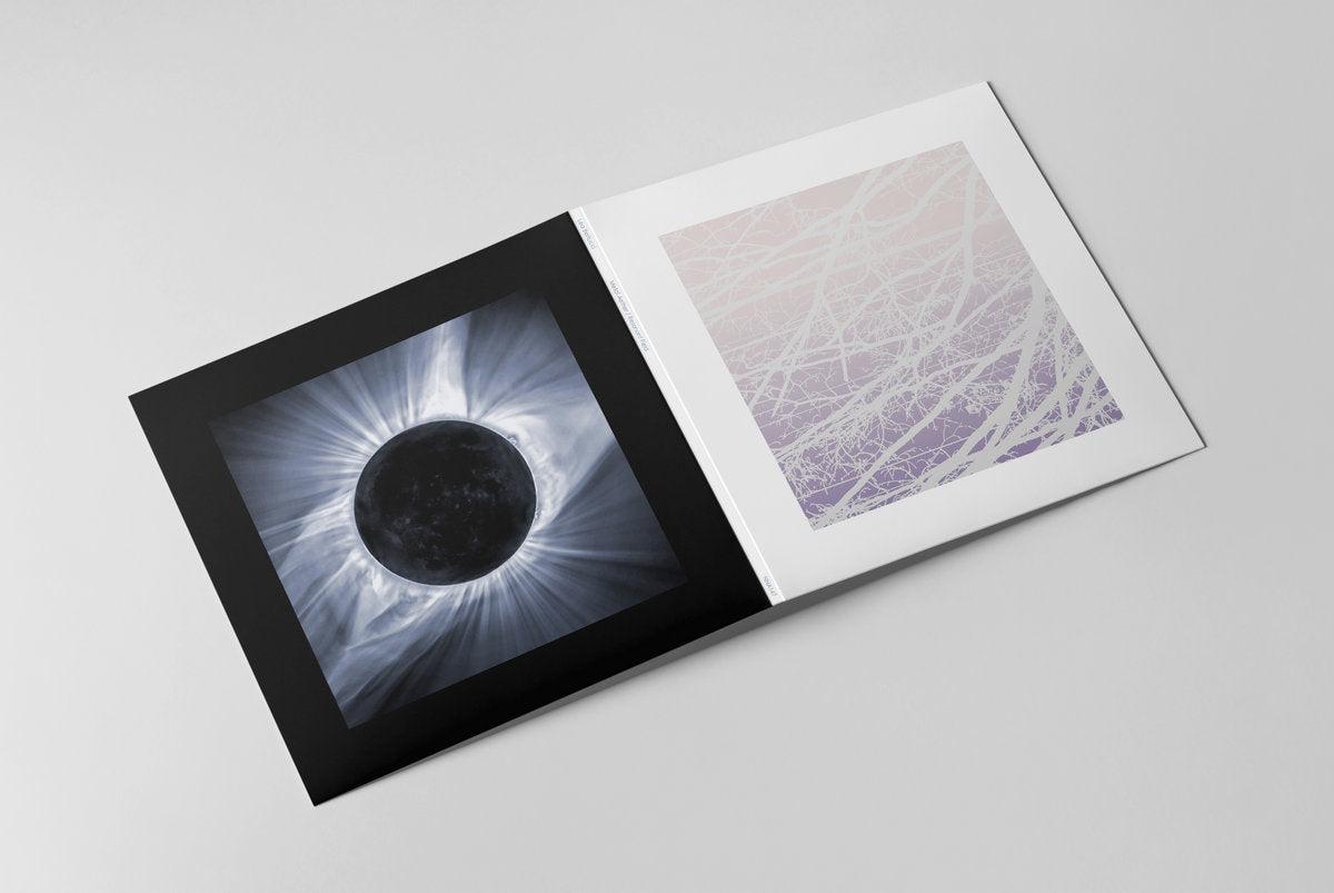 2 x Vinyl LP - Product Photo