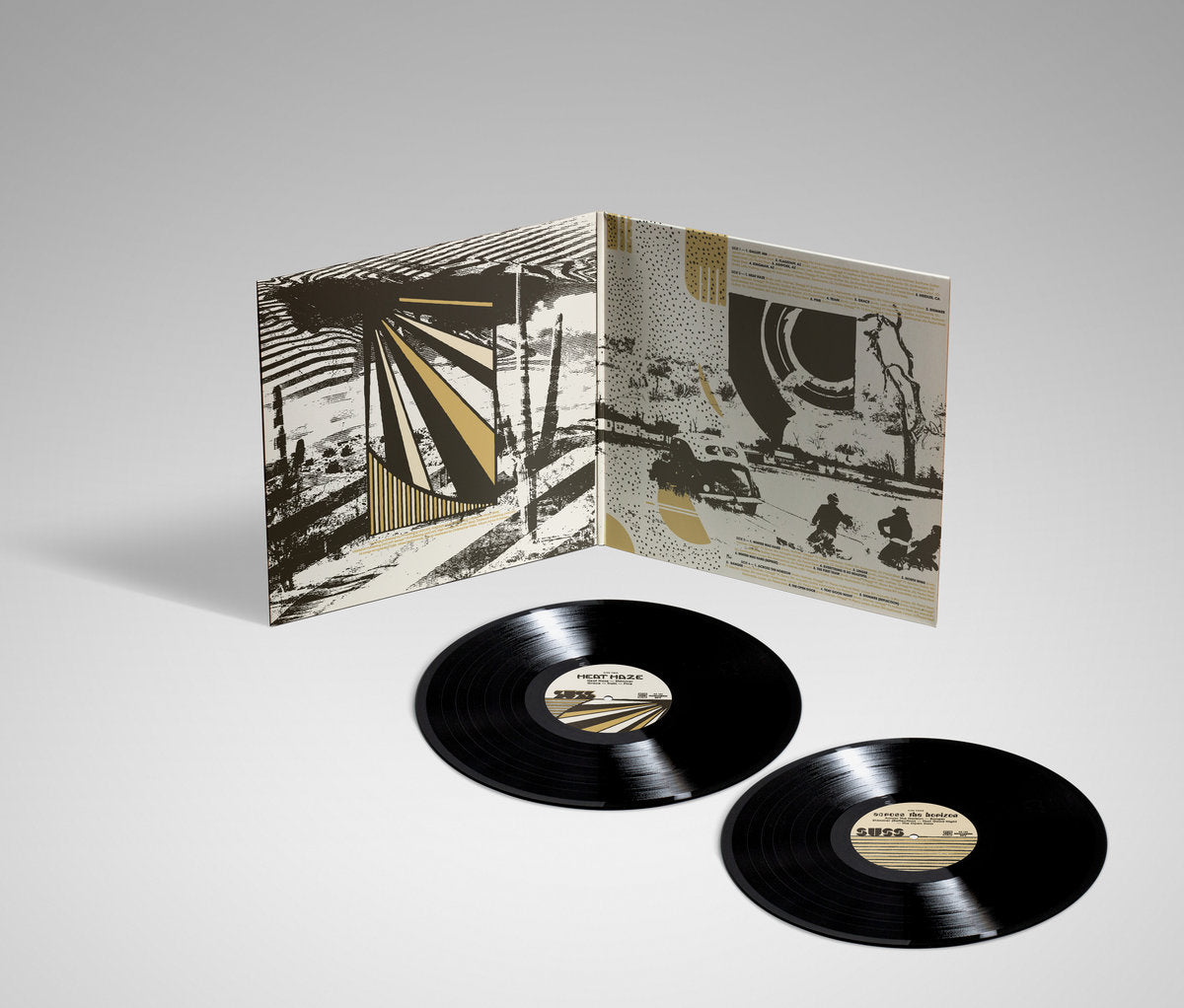 2 x Vinyl LP - Product Photo