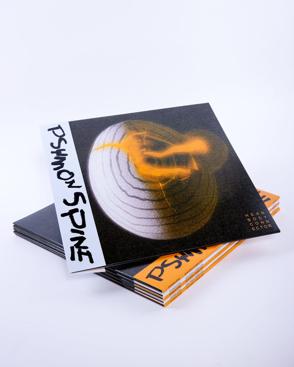 Vinyl LP - Product Photo