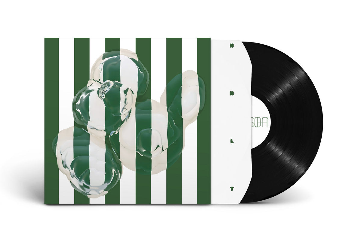 Vinyl LP - Product Photo