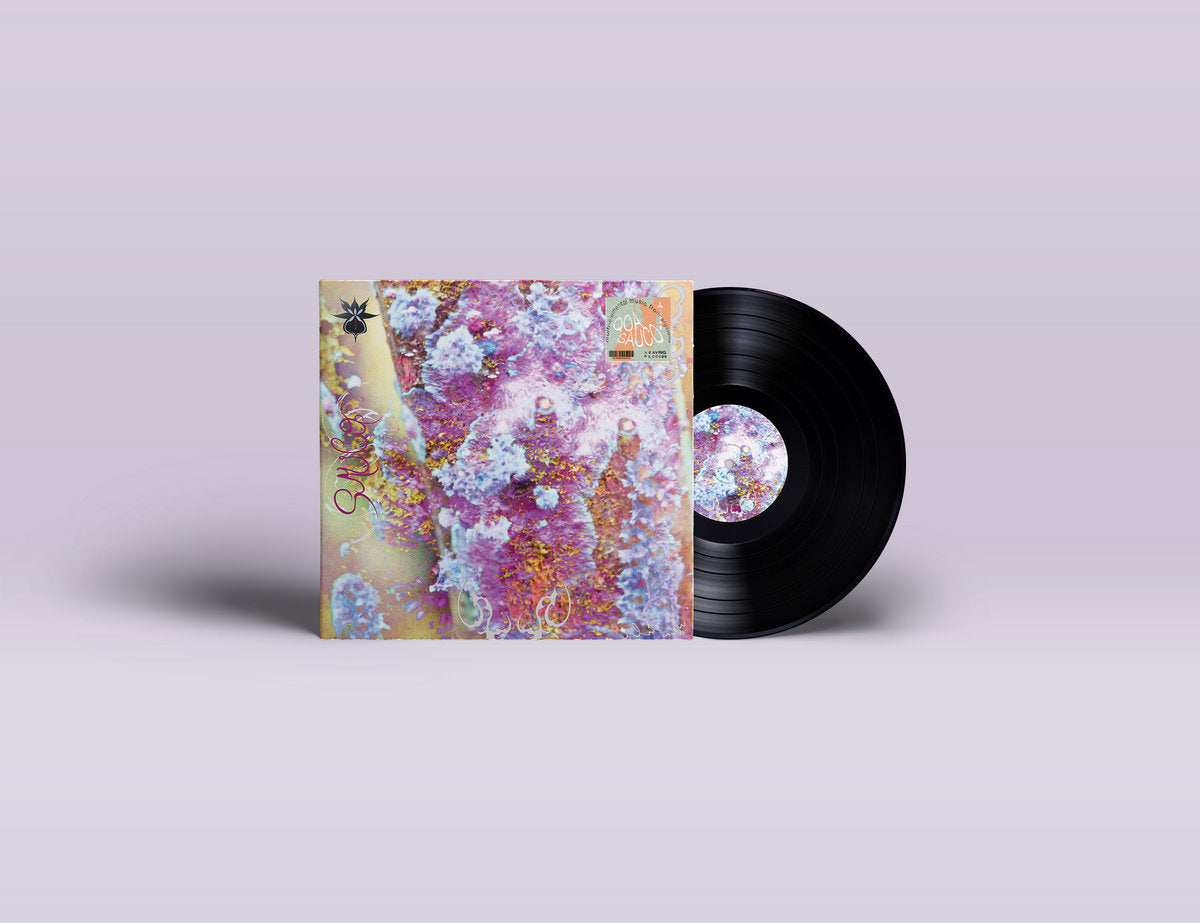 Vinyl LP - Product Photo