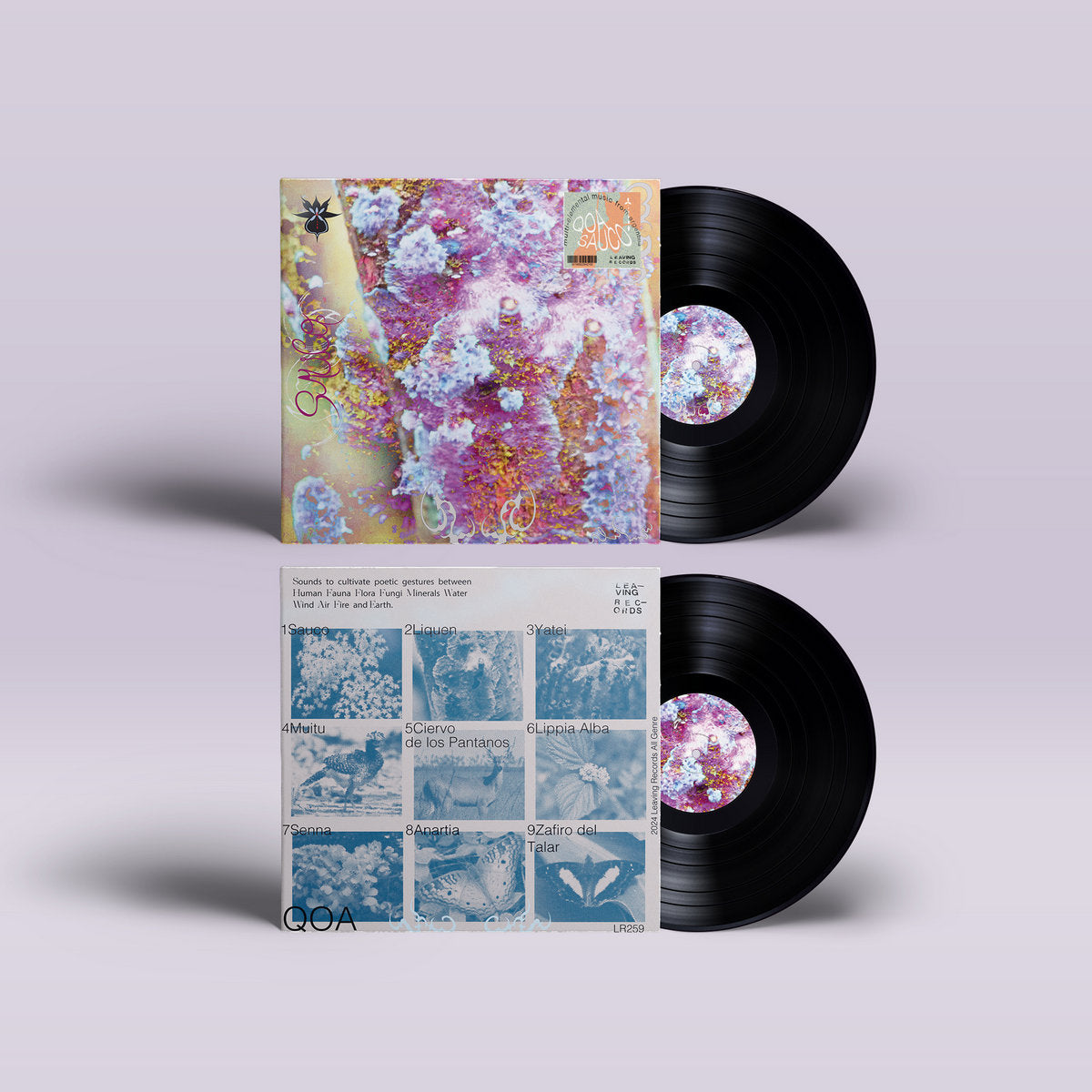 Vinyl LP - Product Photo