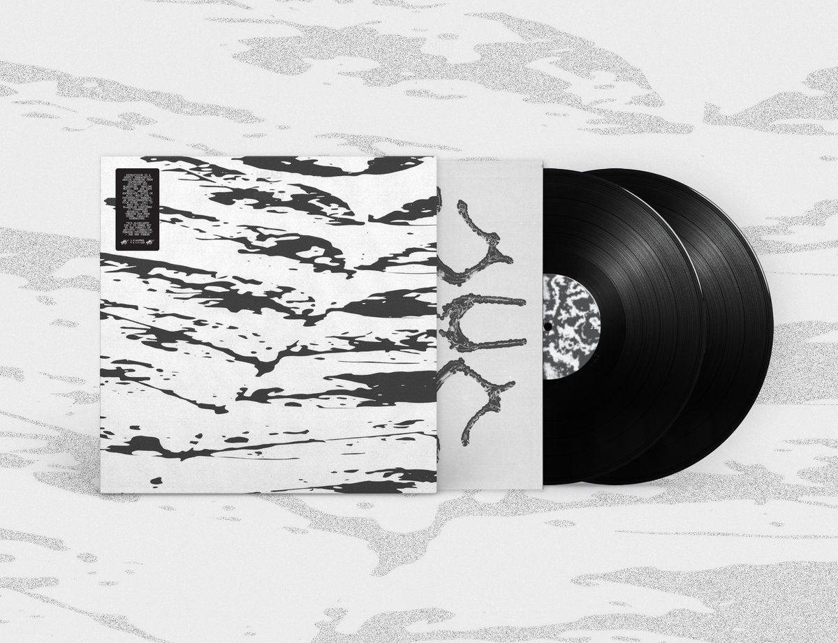 Vinyl LP - Product Photo