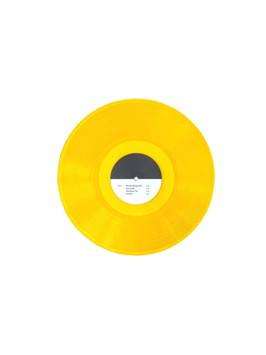 Vinyl LP - Product Photo