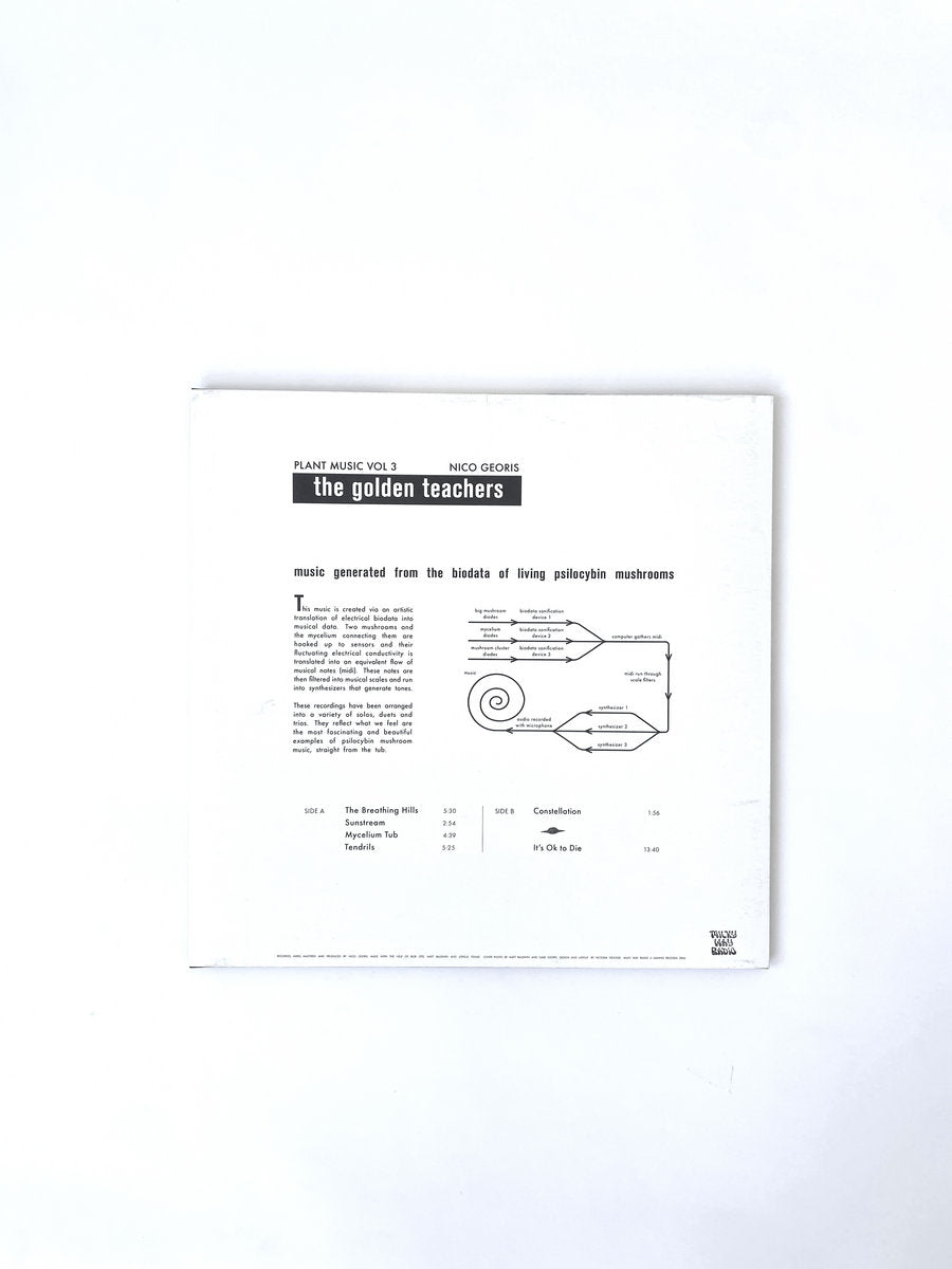 Vinyl LP - Product Photo